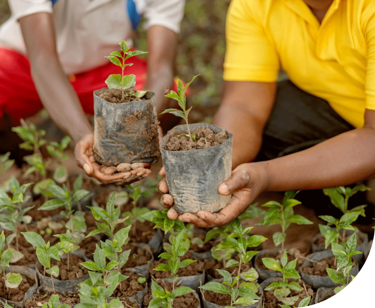 Un engagement environnemental clair 