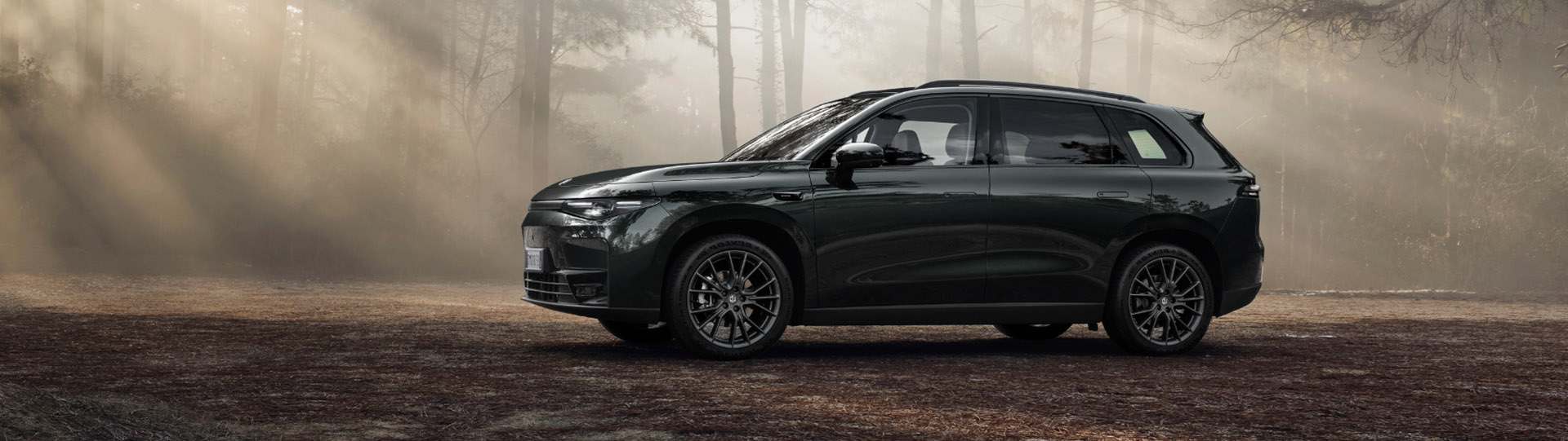 banner Leapmotor C10 REEV